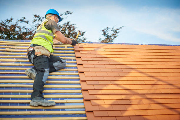 Best Roof Moss and Algae Removal  in Lead, SD